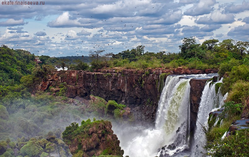 Vogopad Iguazu Argentina Ekaterina Isaeva