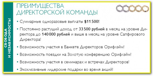 Бизнес план орифлейм директорская команда
