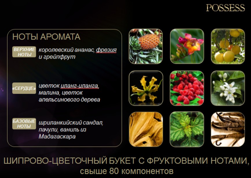 КОМПОЗИЦИЯ Позес