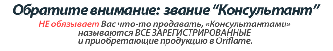 Кто такой консультант