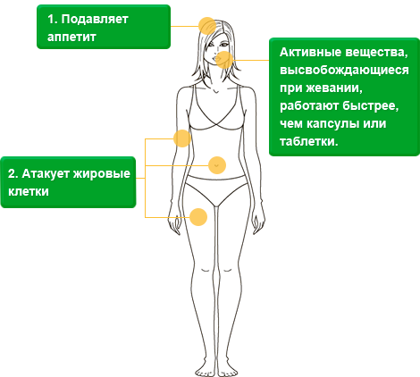 bodyfit