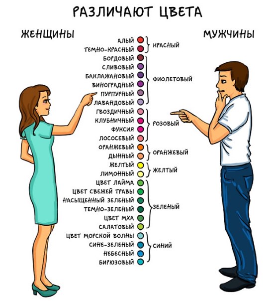Отличия мужчины от женщины в восприятии цветов Muzhchina i zhenshina
