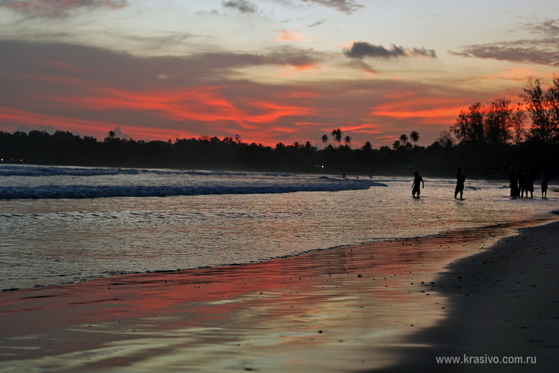 Красивый закат Шри-Ланка Мирисса Бич