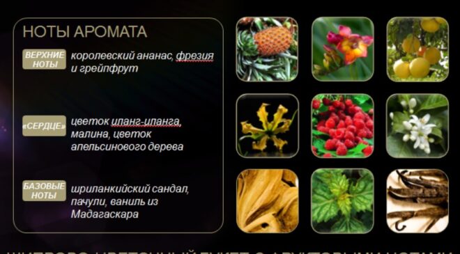 КОМПОЗИЦИЯ Позес