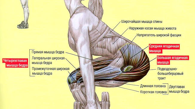 Приседания с гантелями