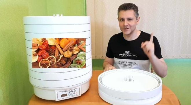 Сухофрукты сушилка Дегидратор Волтера Люкс 1000